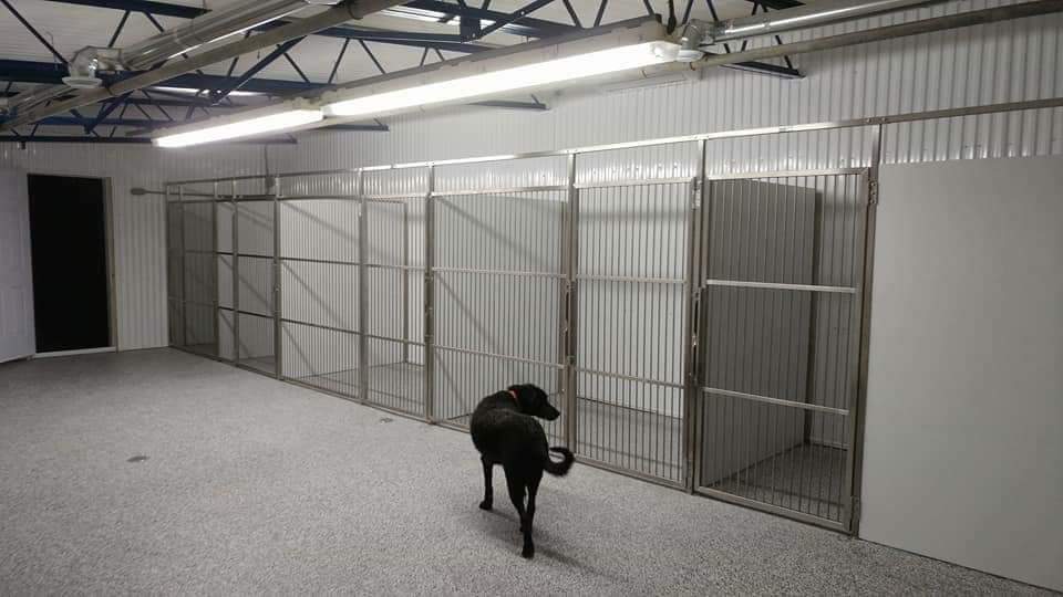 Centre LÉquilibre Canin | 730 Rang du Haut de lÎle, Sainte-Monique, QC J0G 1N0, Canada | Phone: (819) 692-7643