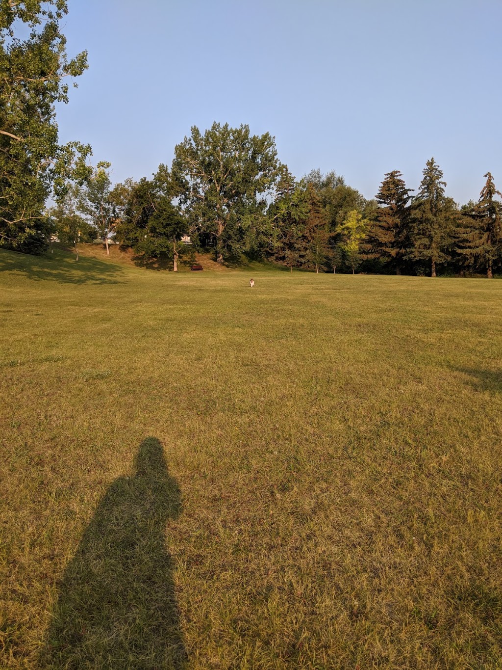 Shaganappi Off Leash Area | 1418 25a St SW, Calgary, AB T3C 1J8, Canada
