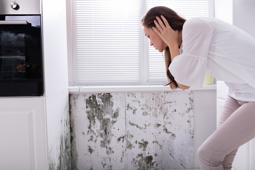 Disaster Rx - DKI Mississauga | 3135 Unity Dr #5, Mississauga, ON L5L 4L4, Canada | Phone: (905) 588-8888