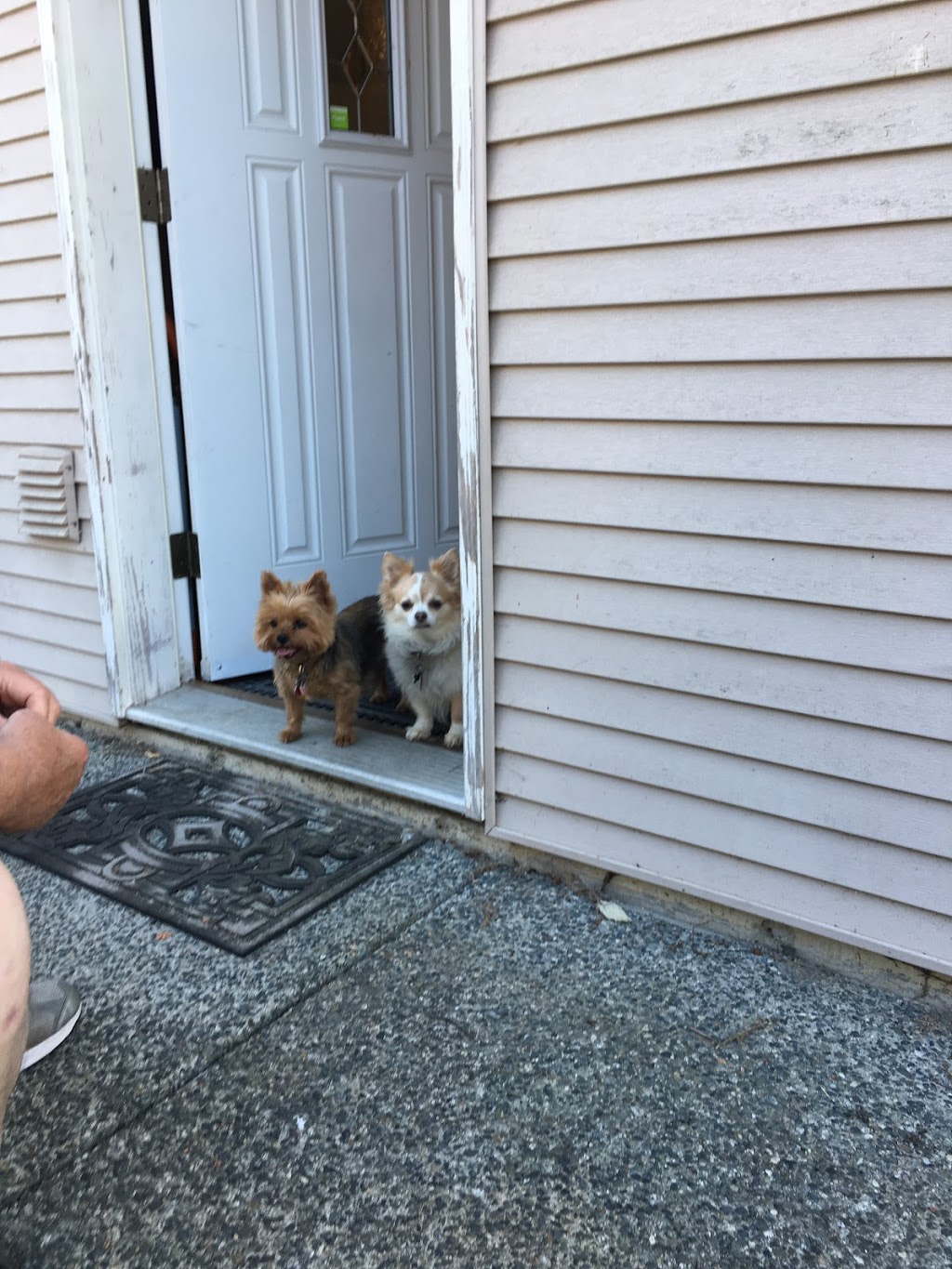 Chase River Veterinary Hospital | 1151 Lawlor Rd, Nanaimo, BC V9R 6R6, Canada | Phone: (250) 591-4050