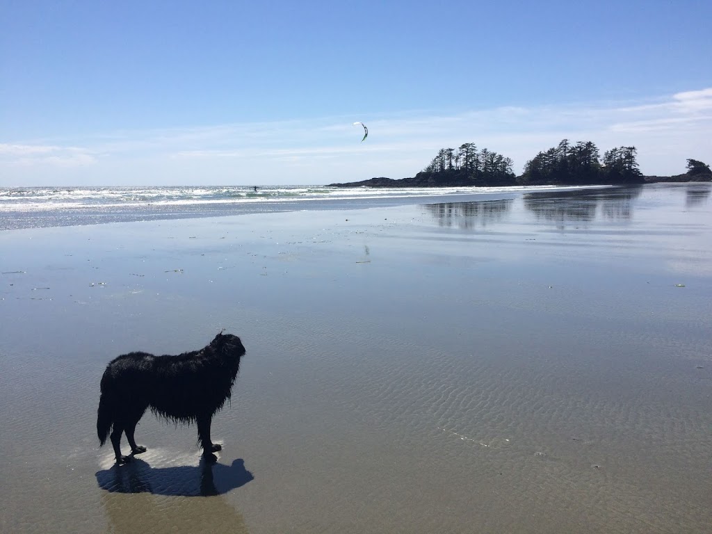 Norgate Animal Hospital | 1435 Marine Dr, North Vancouver, BC V7P 1T5, Canada | Phone: (604) 980-2222