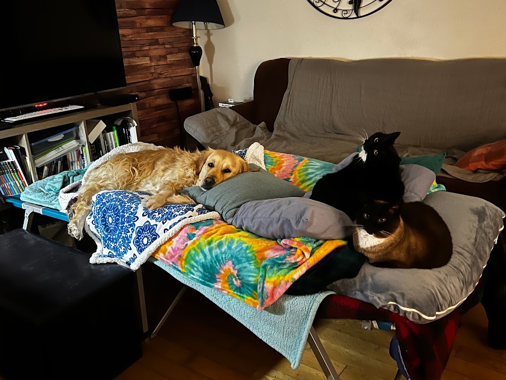 Figue & Pepper Veterinary Clinic / Clinique Vétérinaire | 4578 Rue Principale, Saint-Antoine, NB E4V 1R4, Canada | Phone: (506) 525-2000