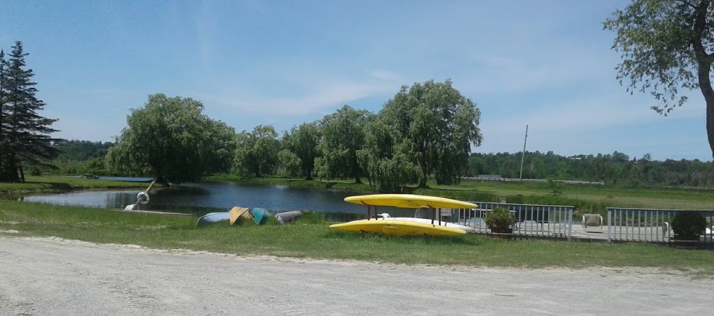 Trout Water Family Camping Ltd | S1600 Hwy 7 East, Sunderland, ON L0C 1H0, Canada | Phone: (705) 357-1754