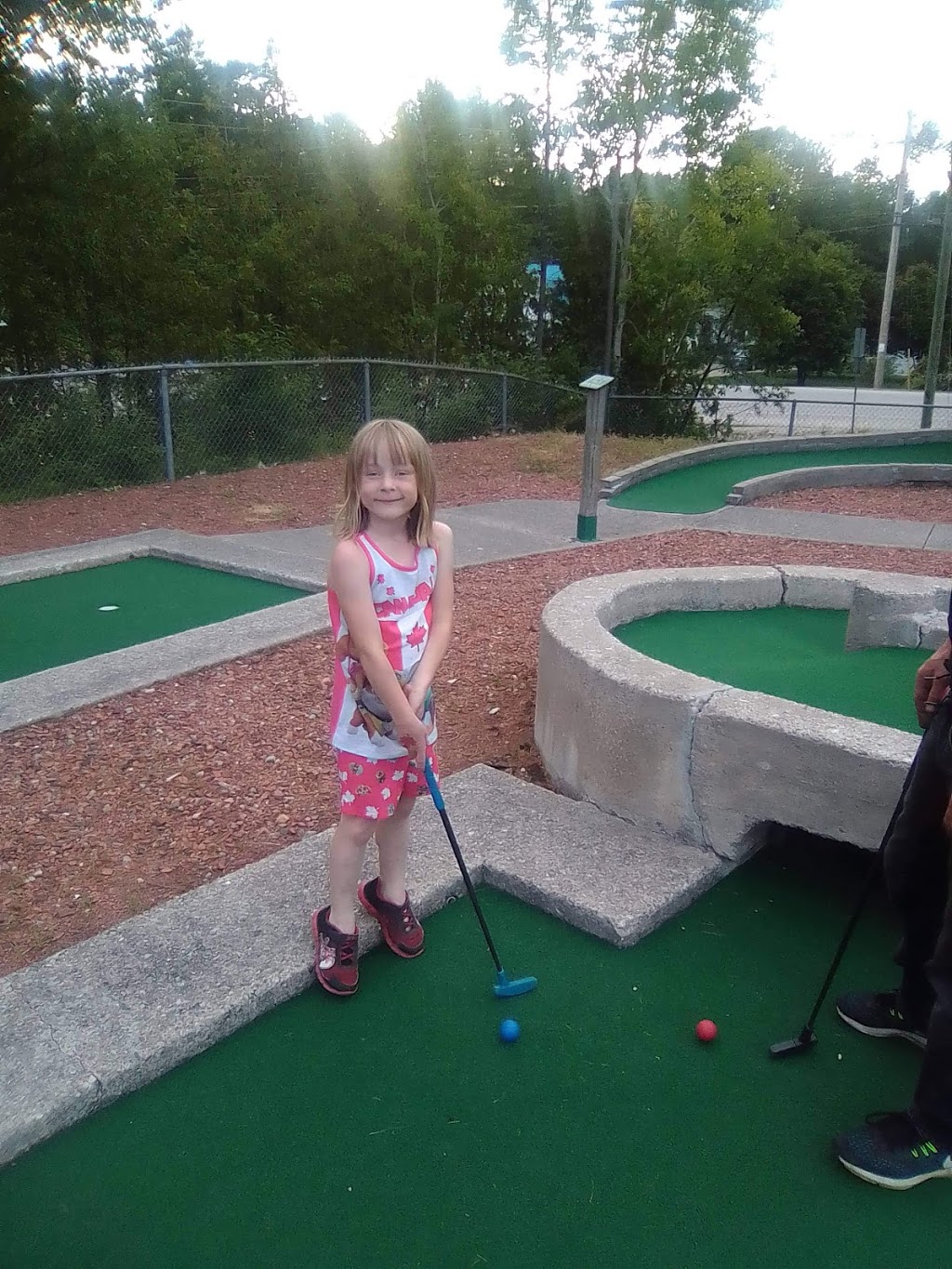 Balm Beach Go Karts & Mini Putt | 239 Balm Beach Rd W, Tiny, ON L0L 2J0, Canada | Phone: (705) 526-6801