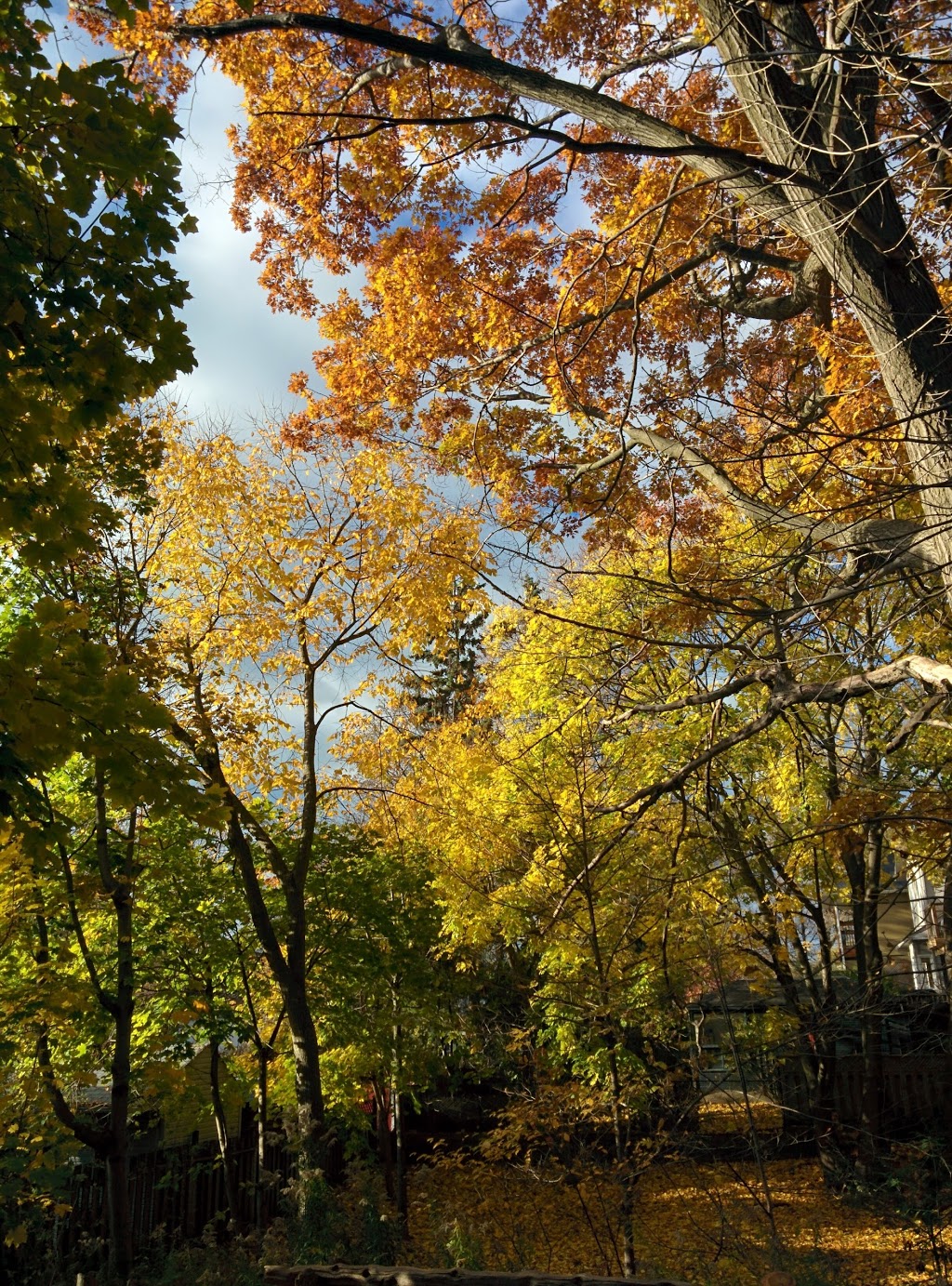 Cairns Avenue Parkette | 93 Cairns Ave, Toronto, ON M4L 1X6, Canada | Phone: (416) 338-4386