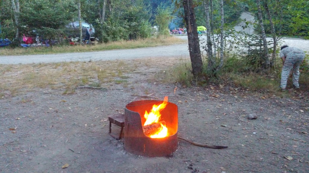 Lakeview Park Campsite | 8815 Lakeview Park Rd, Lake Cowichan, BC V0R 2G0, Canada | Phone: (250) 749-3350