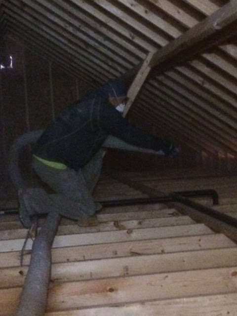 Tropical Insulation | 120 Claireville Dr, Etobicoke, ON M9W 5Y3, Canada | Phone: (416) 798-1310