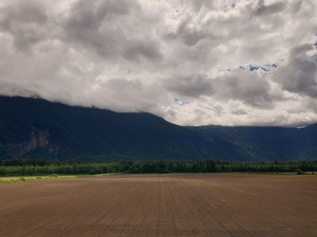 Seabird Island Sheep Farm | 3414 Chowat Rd, Agassiz, BC V0M 1A2, Canada | Phone: (604) 796-2167
