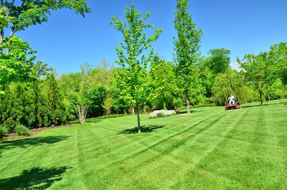 Grass Cutters | 6456 Dorchester Rd, Niagara Falls, ON L2G 5T5, Canada | Phone: (905) 325-5704