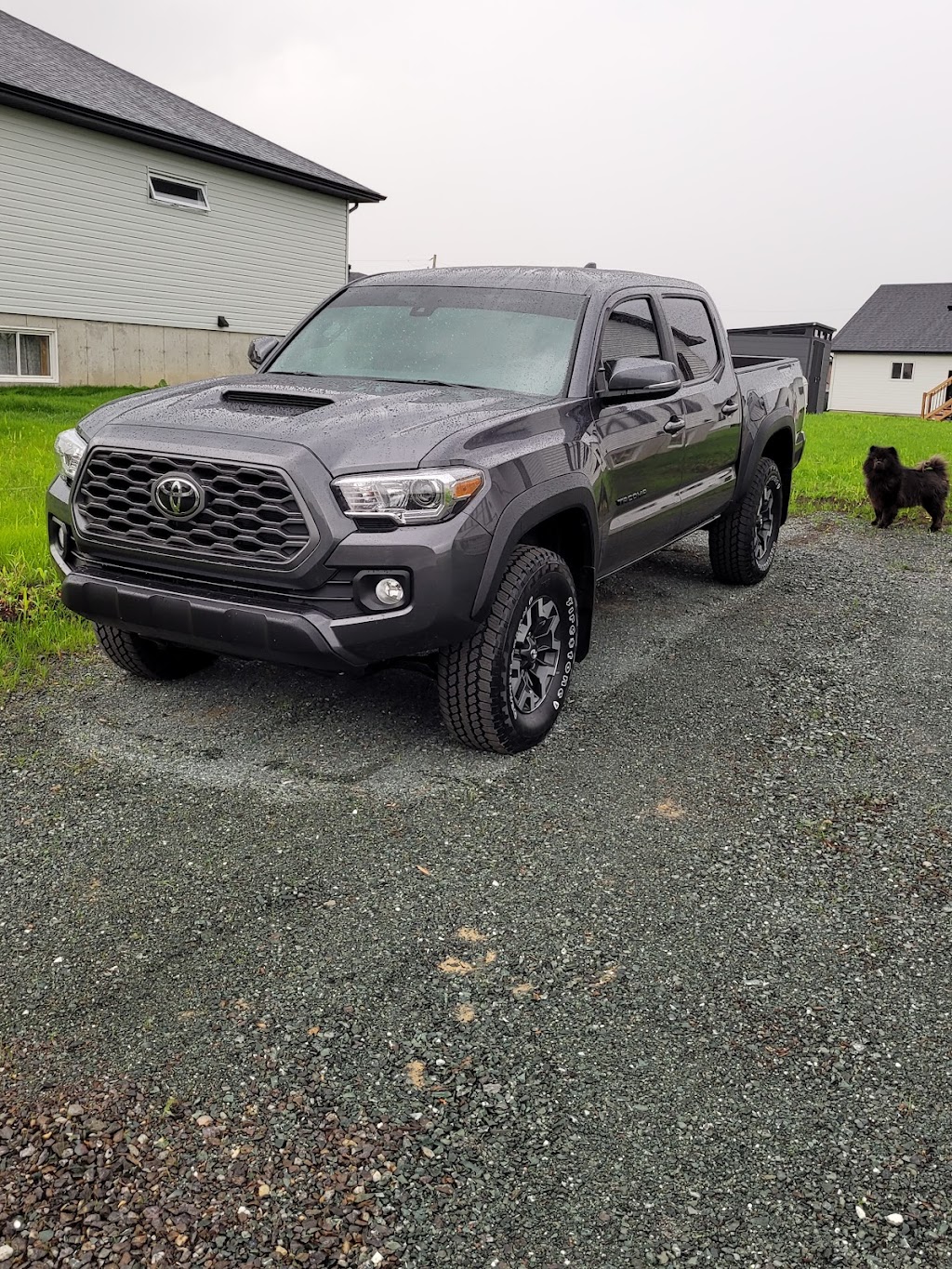Black Fox Window Tinting | 4060 Bd Saint-Jean, Trois-Rivières, QC G9B 2M2, Canada | Phone: (819) 694-5188