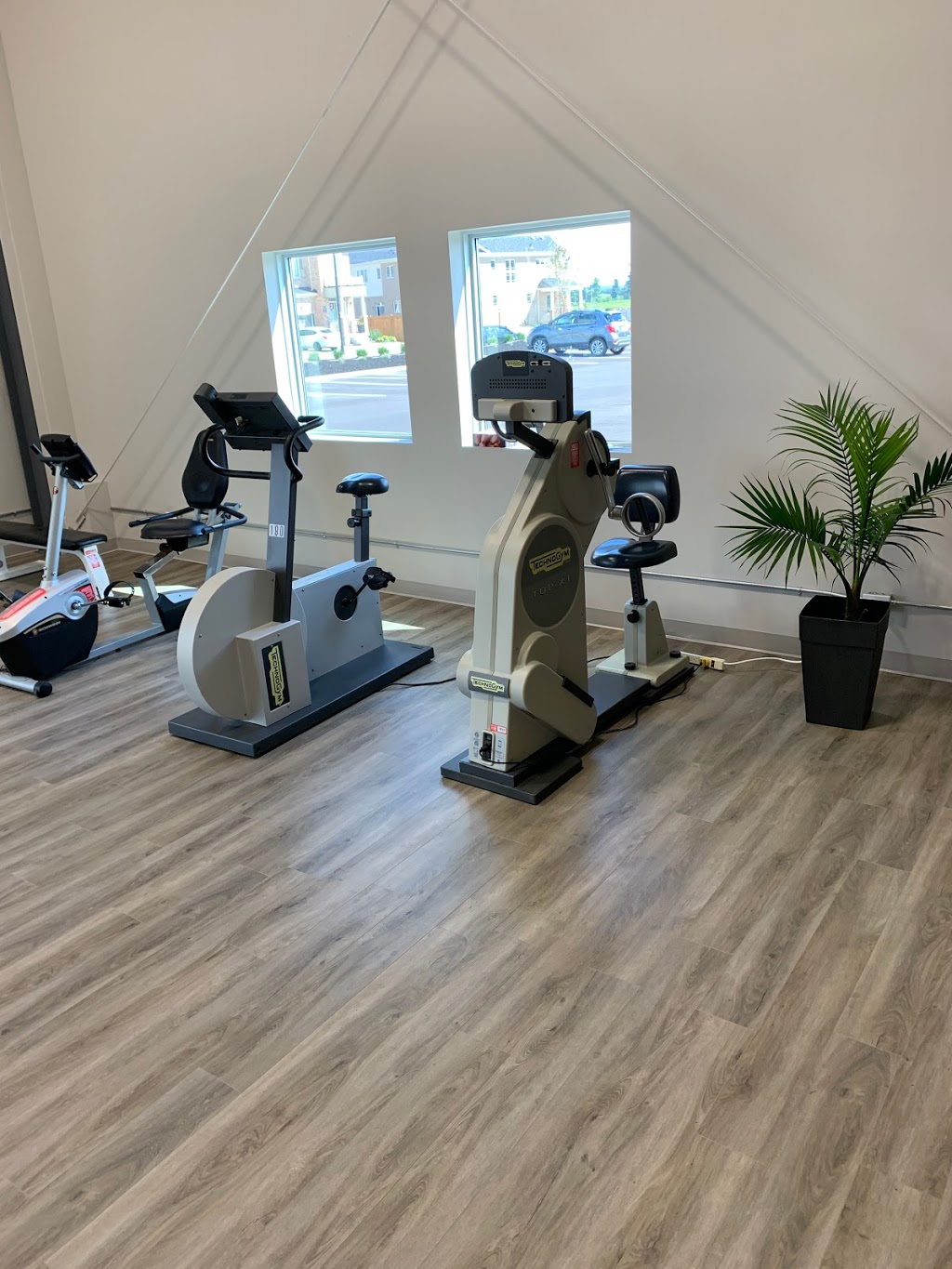 Absolute Health & Wellness | 70 Hartley Ave Unit 2, Paris, ON N3L 0G9, Canada | Phone: (519) 442-2206