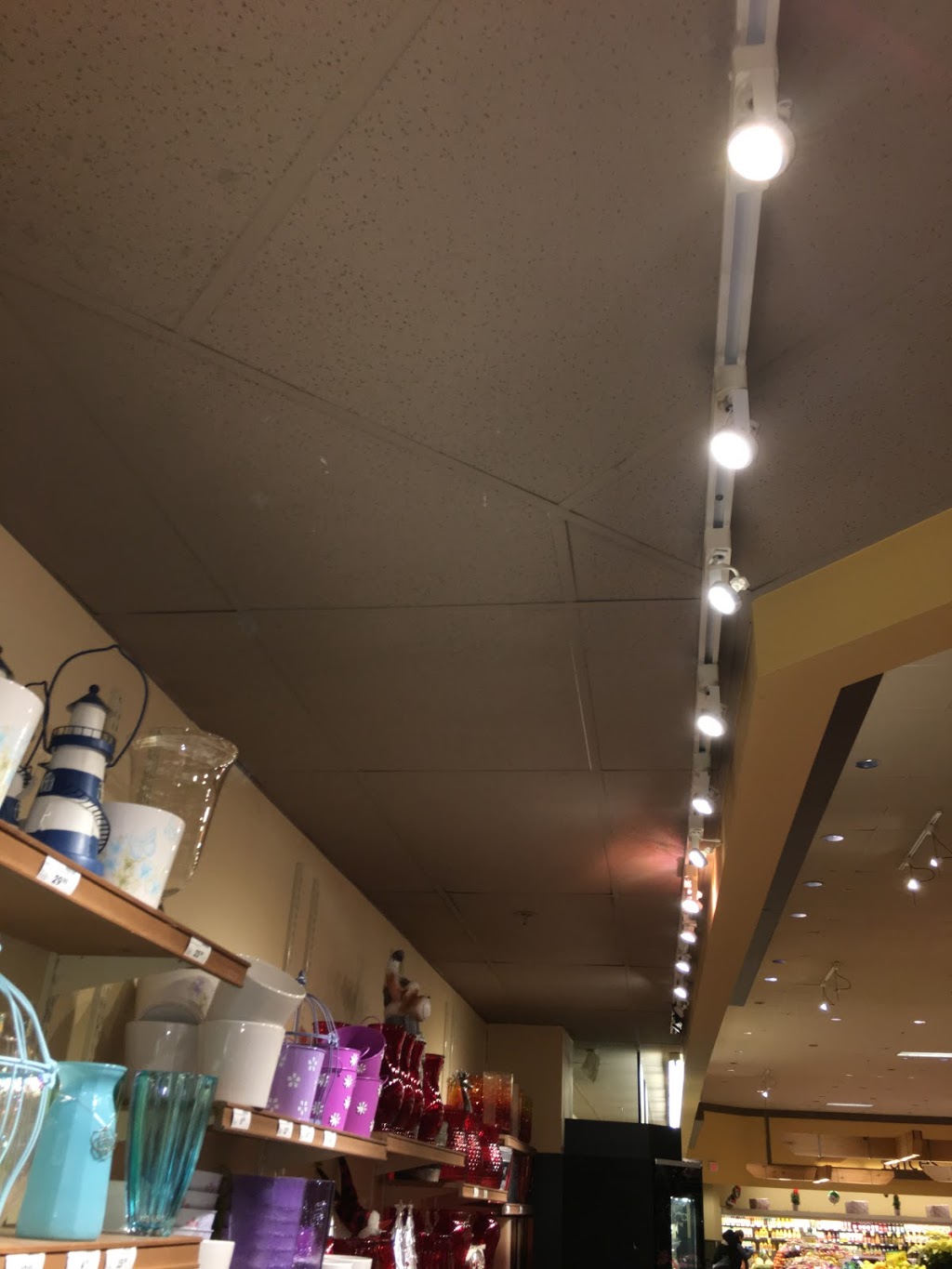 Gopher Clarity | 140 Covepark Dr NE, Calgary, AB T3K 6B9, Canada | Phone: (403) 923-2015