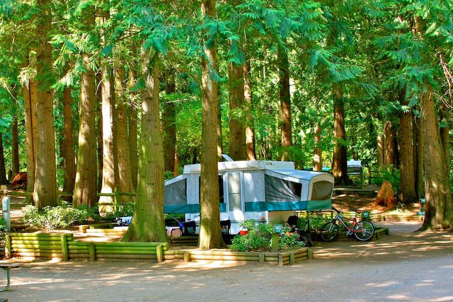 Lynden / Bellingham KOA | 8717 Line Rd, Lynden, WA 98264, USA | Phone: (360) 354-4772