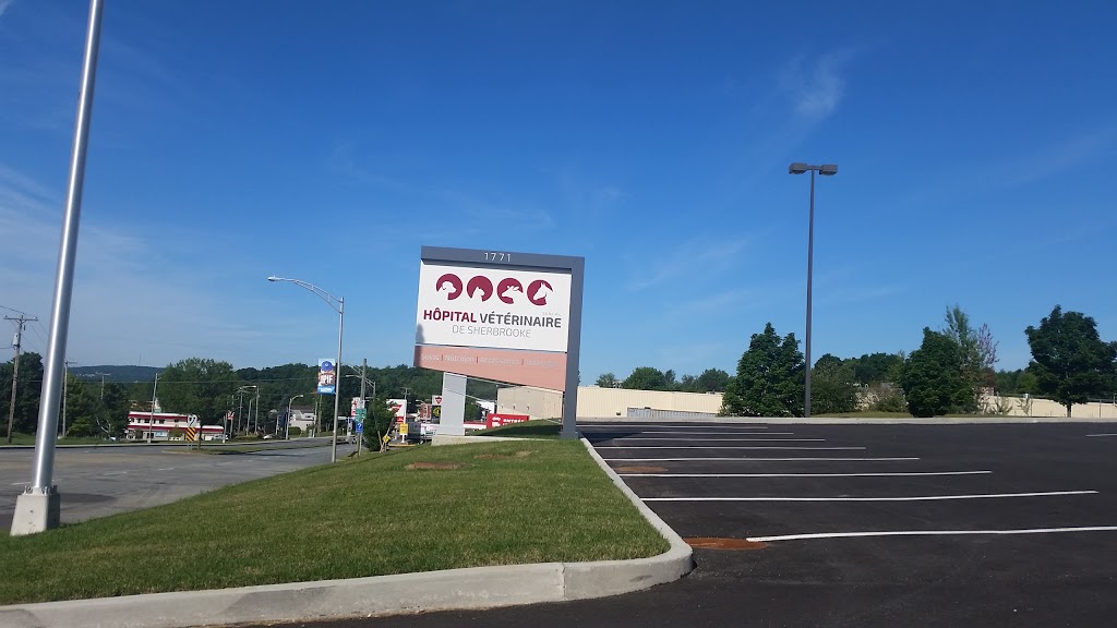 Hôpital Vétérinaire de Sherbrooke | 1771 Rue King E, Sherbrooke, QC J1G 5G7, Canada | Phone: (819) 563-1558