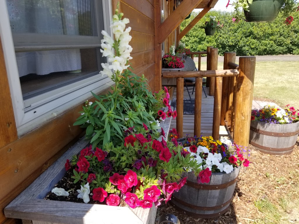 Solstice Berry Farm | 29250 Range Rd 34, Crossfield, AB T0M 0S0, Canada | Phone: (403) 946-4759