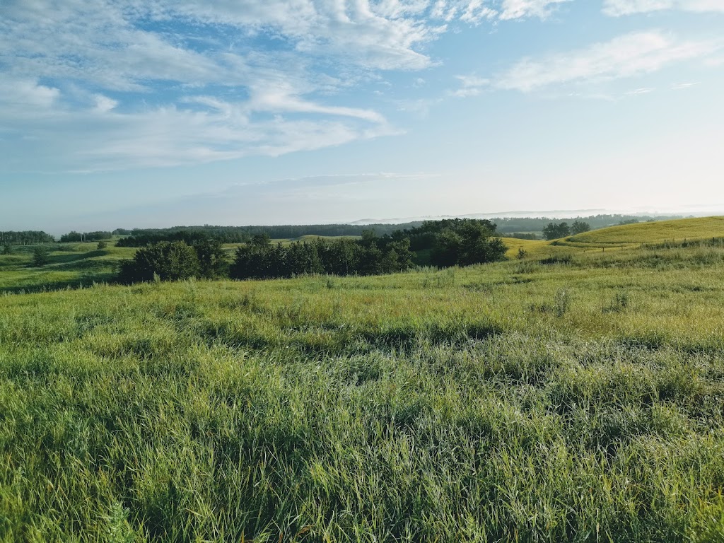 Ramstad Realty Ltd. | Box 412, Bashaw, AB T0B 0H0, Canada | Phone: (780) 678-6405