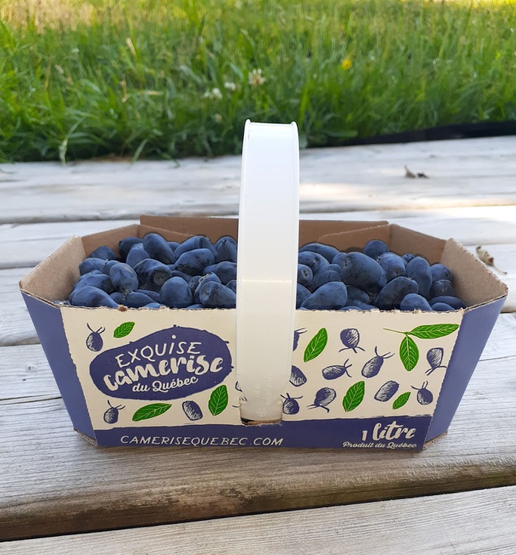 Aux camérisiers fleuris | 503 Chemin de Sainte-Anne S, Sainte-Anne-de-la-Rochelle, QC J0E 2B0, Canada | Phone: (450) 522-6860