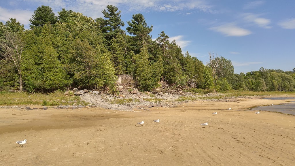Marina Port de plaisance Réal-Bouvier | 101 Chemin de la Rive, Longueuil, QC J4H 4C9, Canada | Phone: (450) 442-9575