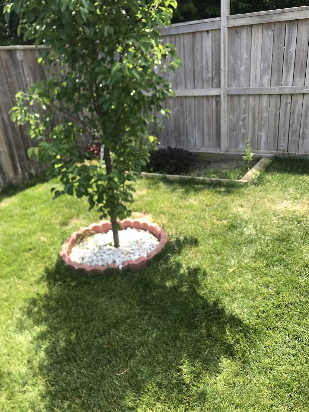 Booms Lawncare | 6485 Brigden Rd, Brights Grove, ON N0N 1C0, Canada | Phone: (519) 331-3706