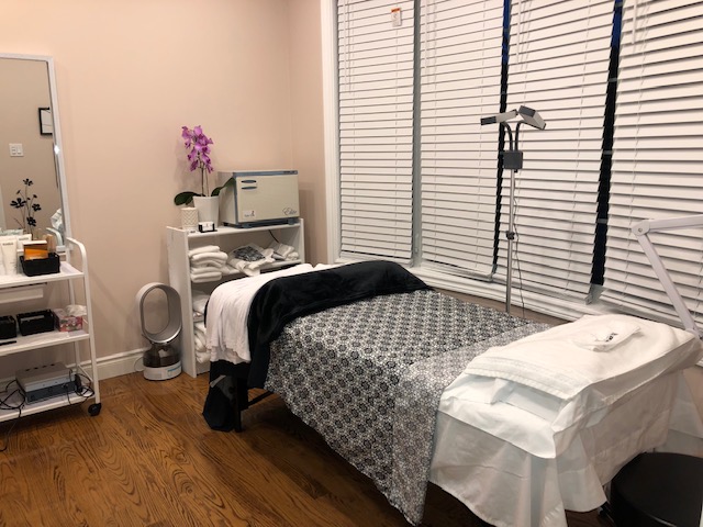 Bella Rose Beauty & Skincare | 99 Arborglen Dr, Georgetown, ON L7G 6L1, Canada | Phone: (416) 571-4398