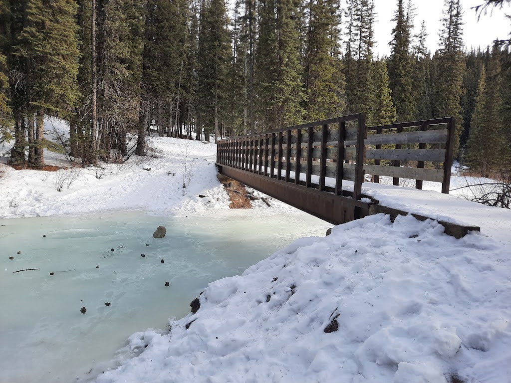 Crescent Falls Provincial Recreation Area | Clearwater County, AB T0M 2H0, Canada | Phone: (855) 721-3975