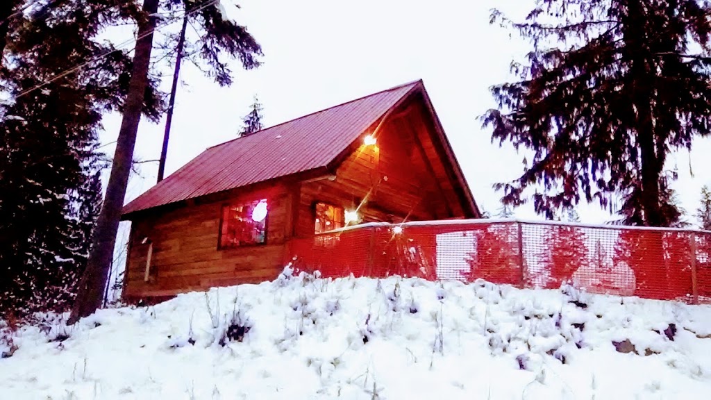 Johns Ski Shack | 375 Edgar Rd, Salmon Arm, BC V1E 2Y2, Canada | Phone: (250) 832-3457