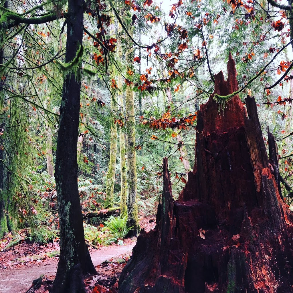 Camosun Trail | 33, Vancouver, BC V6R 3E3, Canada
