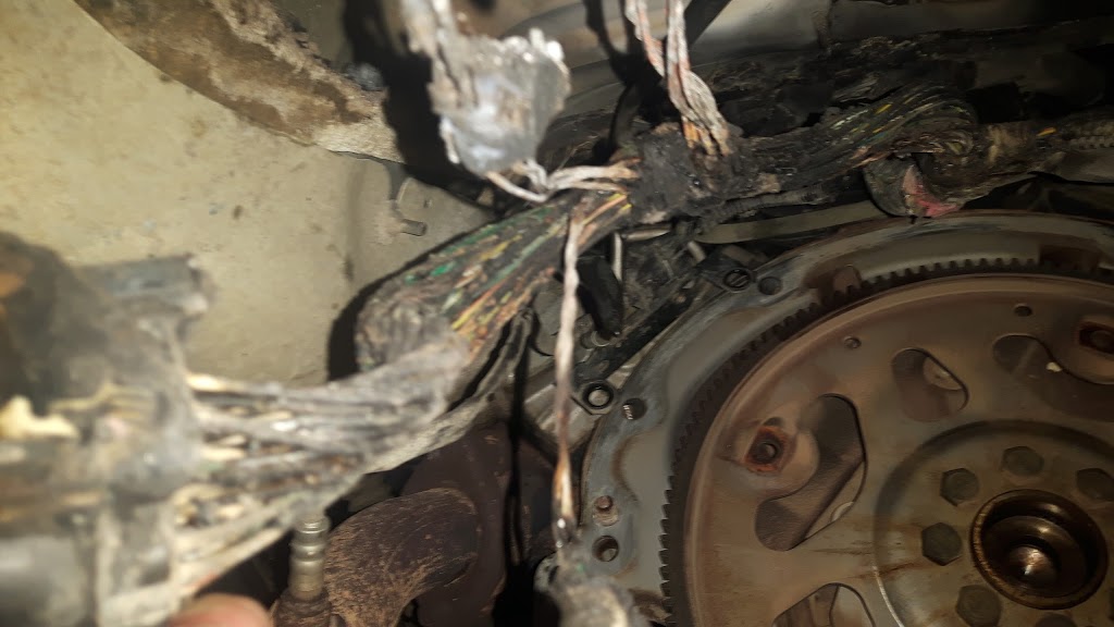 Extreme Transmission Rebuilders | 1902 8 St E, Saskatoon, SK S7H 0T7, Canada | Phone: (306) 955-2343