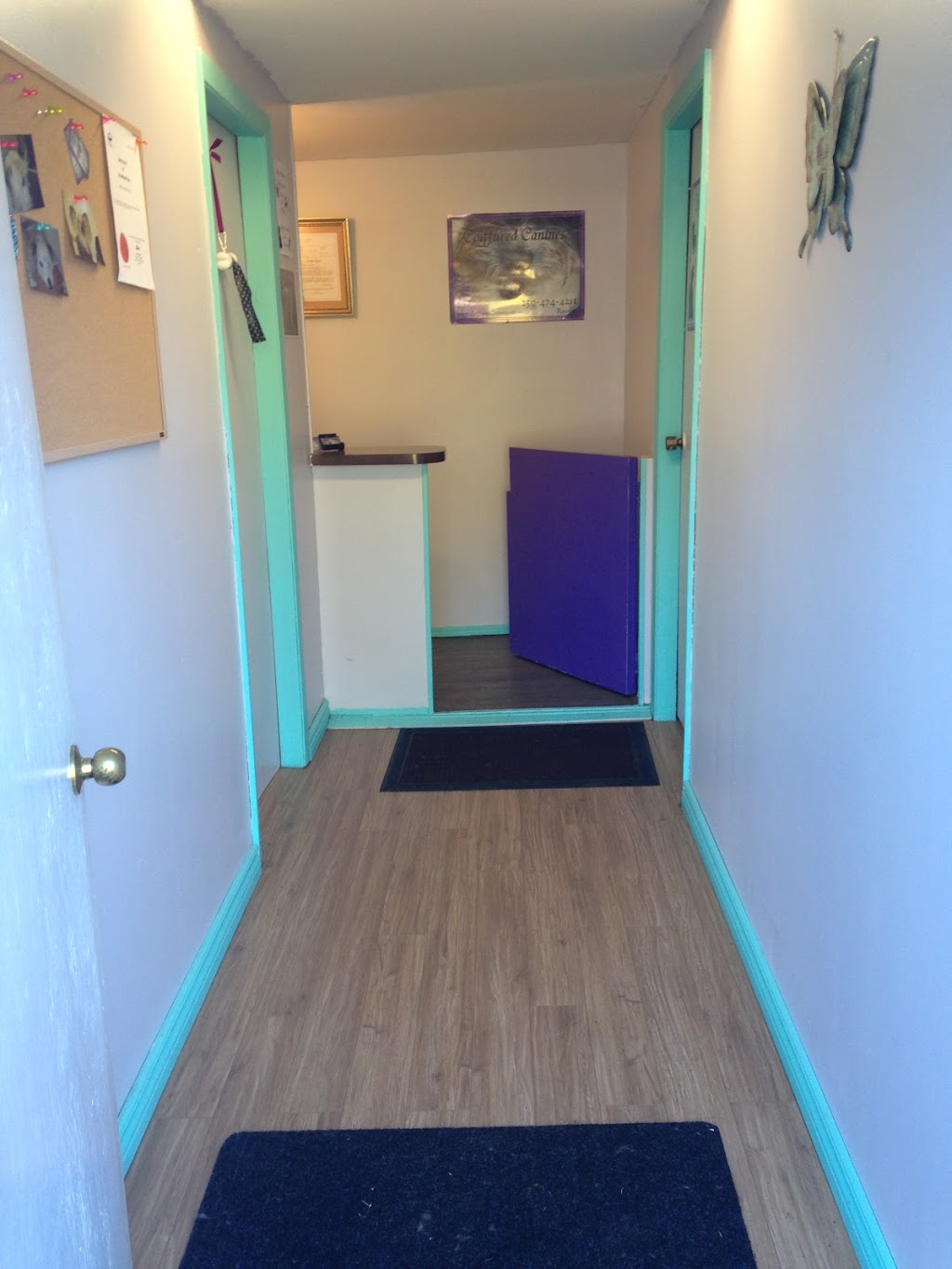Coiffured Canines | 1005 Linda Ln, Victoria, BC V9B 2S7, Canada | Phone: (250) 474-4211