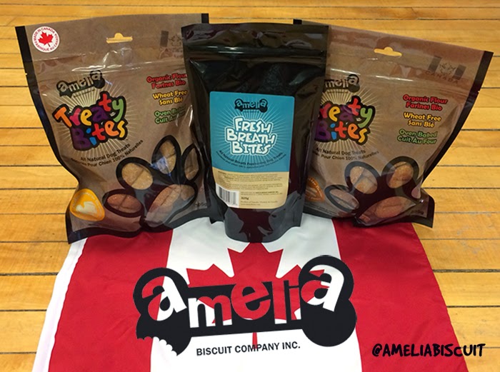 Amelia & Co. | 1705 Villa Nova Rd, Wilsonville, ON N0E 1Z0, Canada | Phone: (519) 771-9995
