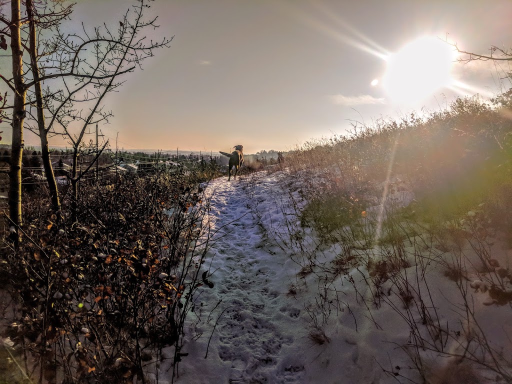 Deer Ridge Off Leash Area | 223 Deercliff Rd SE, Calgary, AB T2J 5K2, Canada