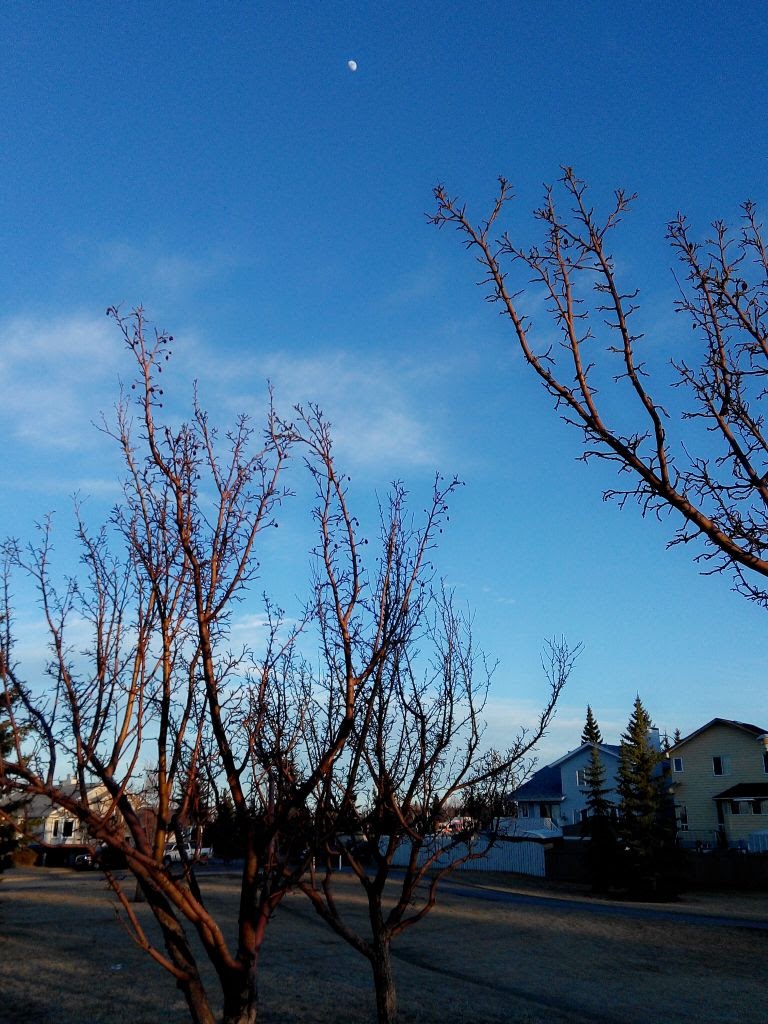 Sandstone Park | Sandstone Dr NW, Calgary, AB T3K 3V2, Canada | Phone: (403) 268-2489