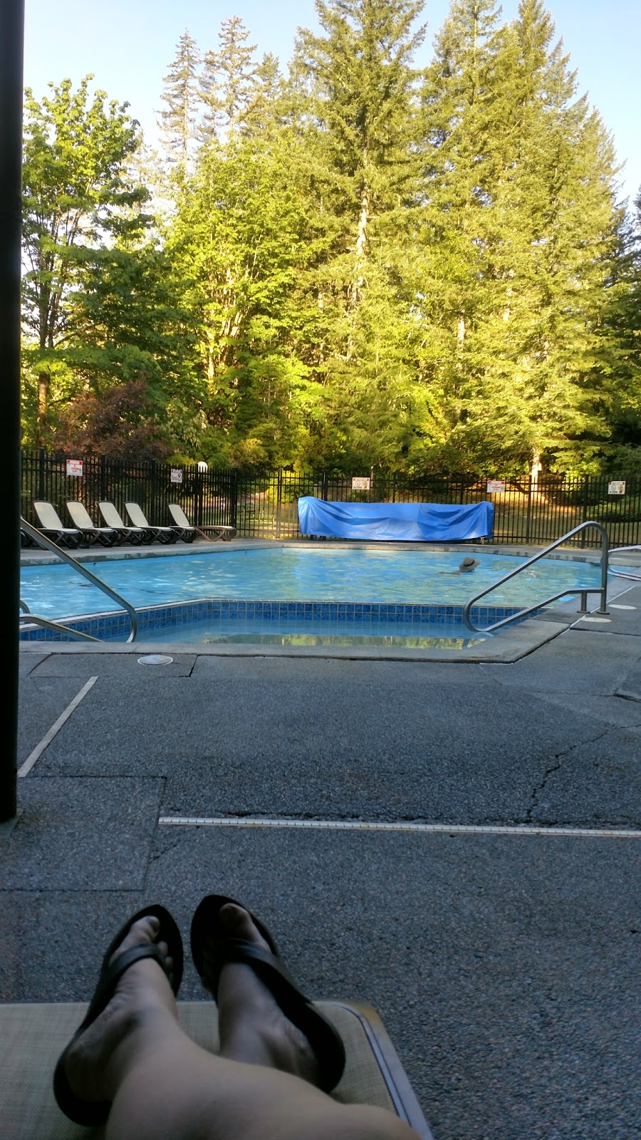 The Glen At Maple Falls | 7159 Mt Baker Hwy, Deming, WA 98244, USA | Phone: (360) 599-2454