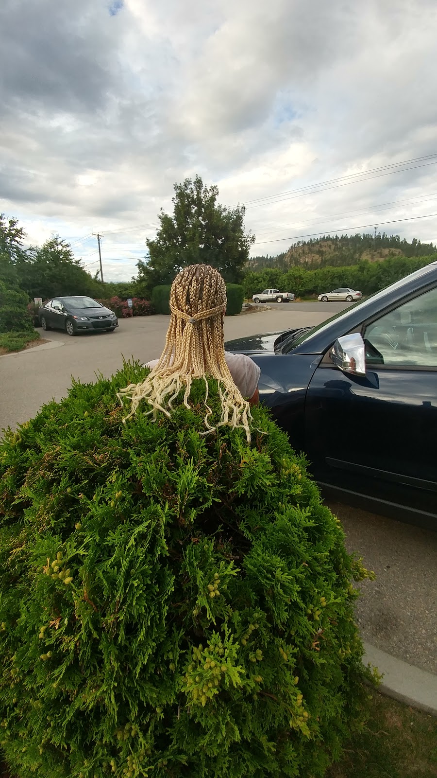Comforters Hair by Ngozi Elma | 2131 Scenic Rd, Kelowna, BC V1V 2T5, Canada | Phone: (778) 385-1062