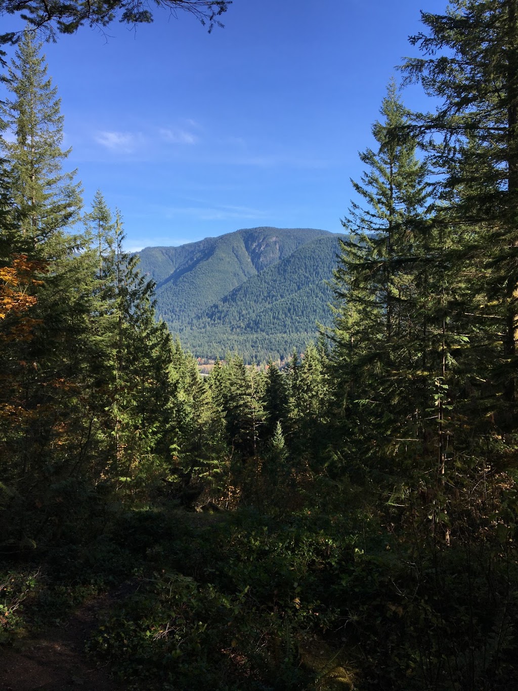 Lookout Trail | Golden Ears Pkwy, Maple Ridge, BC V0M, Canada