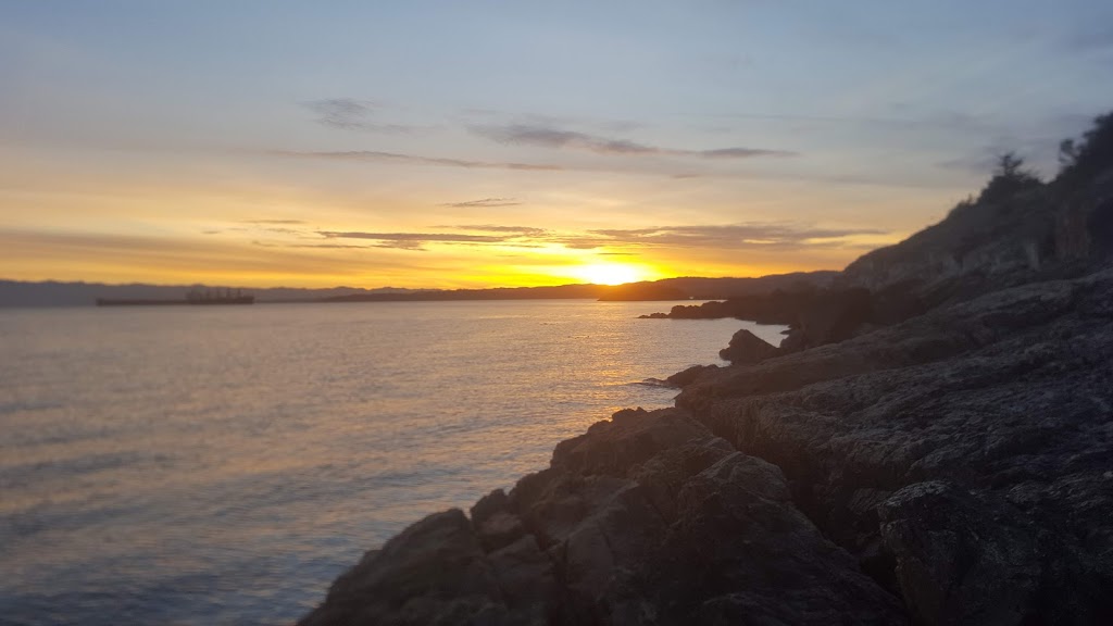 Denniston Park | 430 Grafton St, Victoria, BC V9A 6S3, Canada