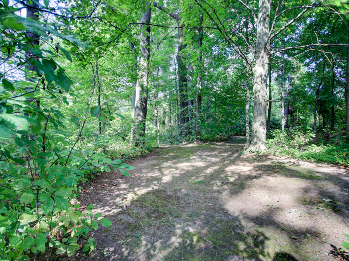 Minmaxx Realty Inc., Brokerage | 1220 Main St E, Milton, ON L9T 8M7, Canada | Phone: (416) 264-1111