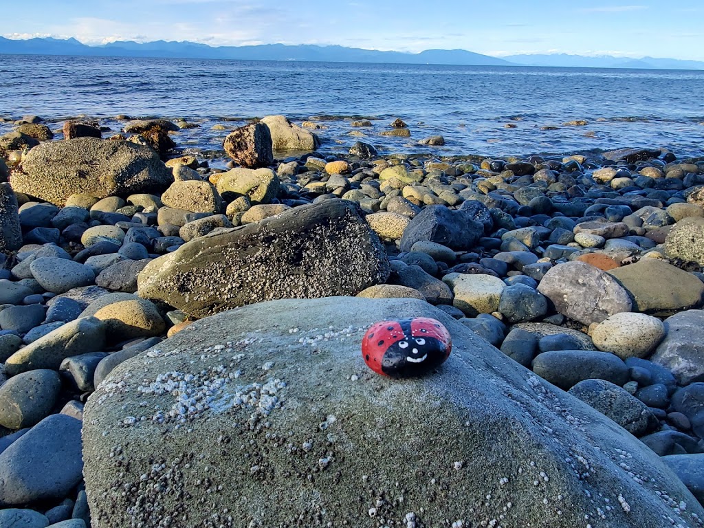 BUG Wellness & Movement | 3380 Departure Bay Rd, Nanaimo, BC V9T 1B4, Canada | Phone: (250) 739-3704