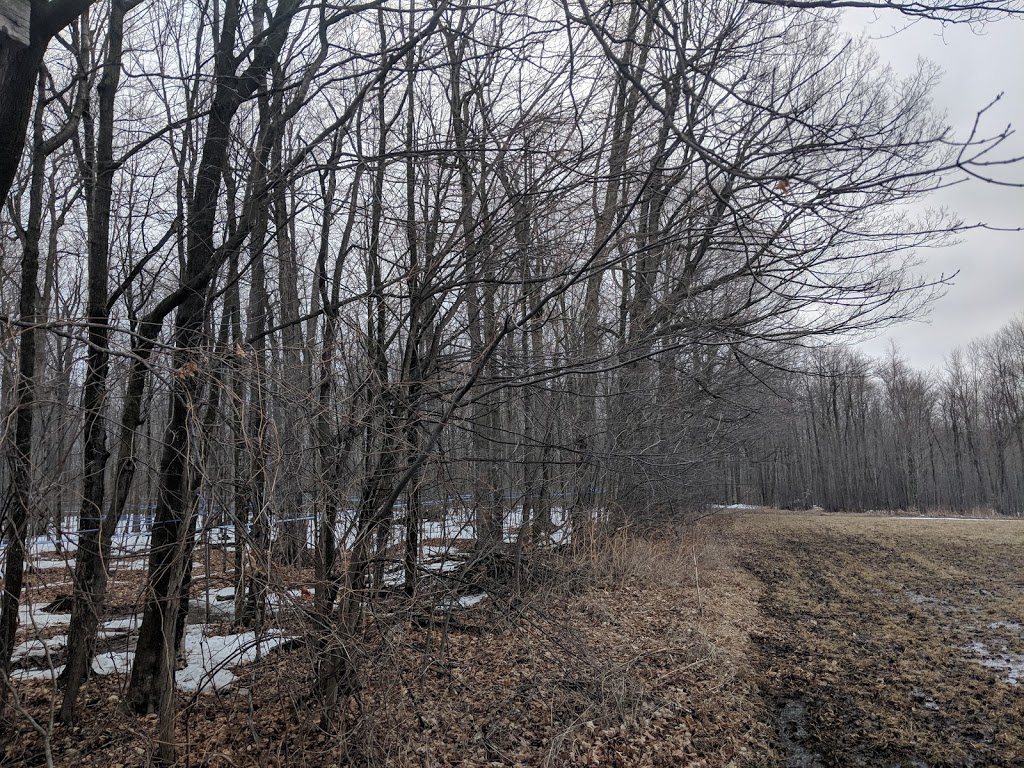 J-F Besner sugar shack | South Glengarry, ON K0C 1Z0, Canada | Phone: (613) 662-2570