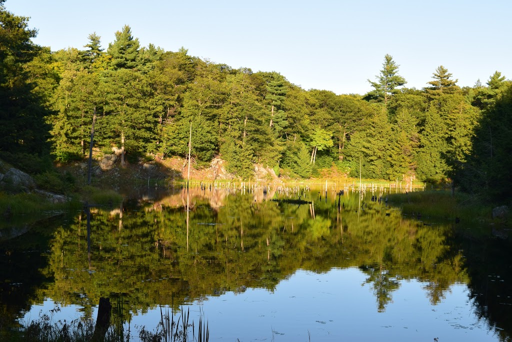 Lauriault Trail | Promenade Champlain, Chelsea, QC J9J, Canada