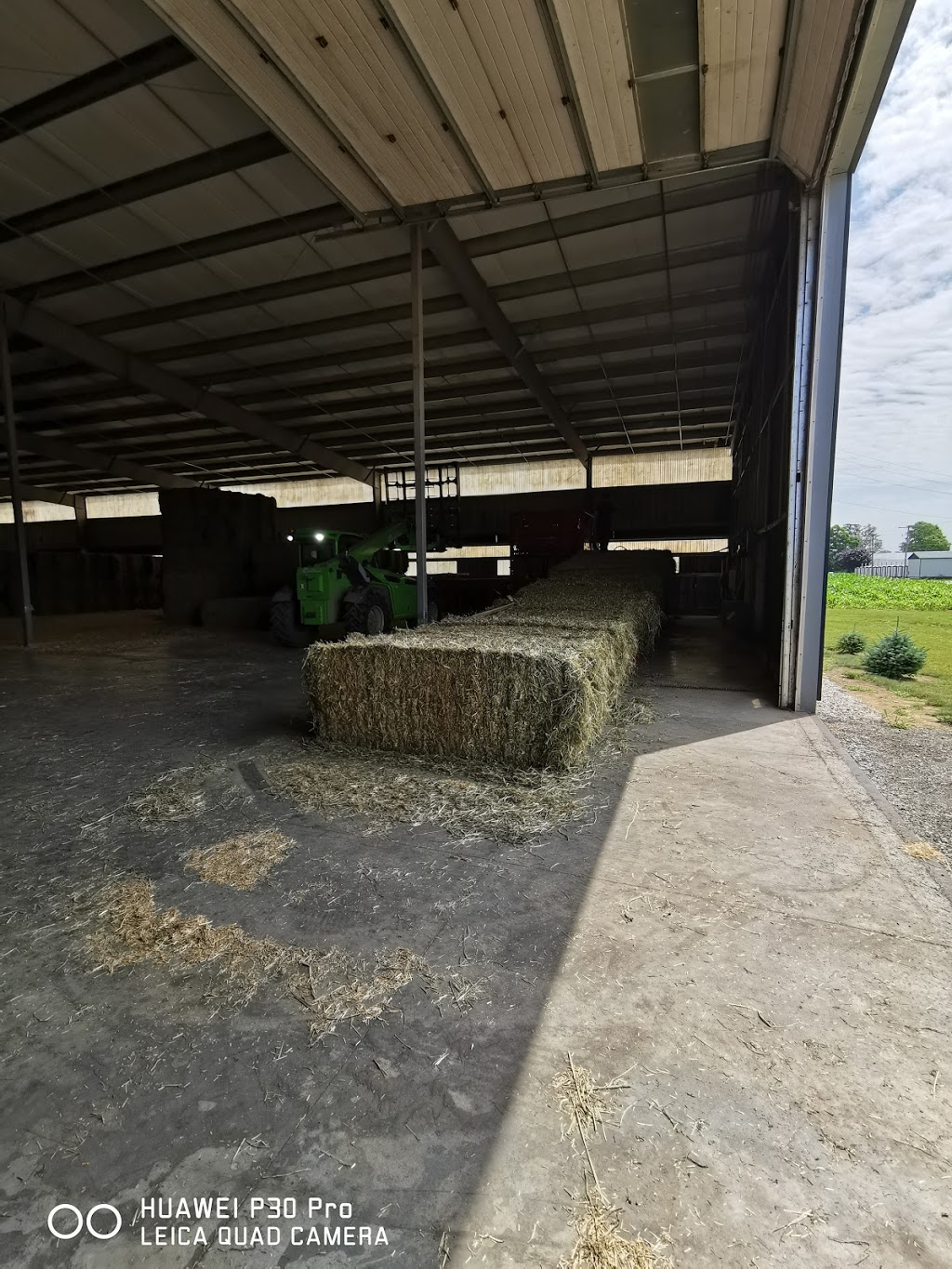 Field and Flock Farms | 50292 Vienna Line RR2, Aylmer, ON N5H 2R2, Canada | Phone: (519) 765-1005