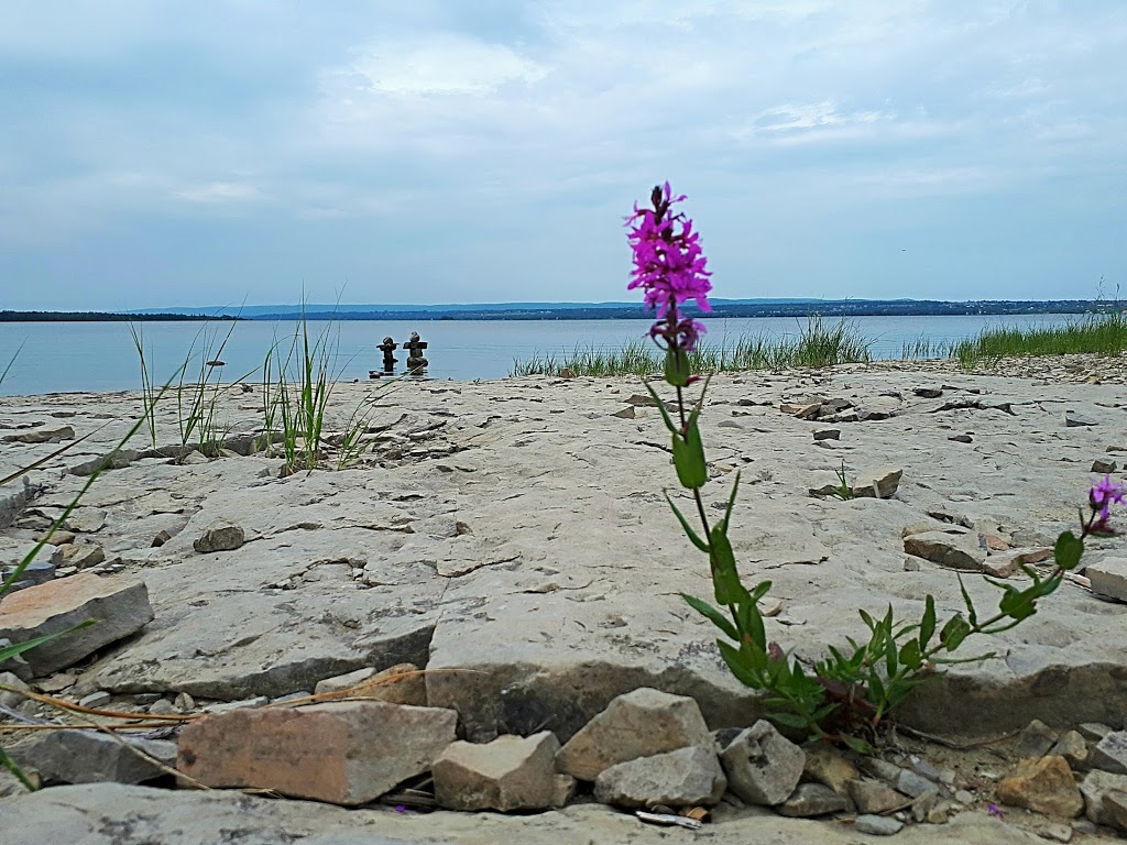 Shirleys Bay Park | Shirley Blvd, Ottawa, ON K2K 2Z2, Canada