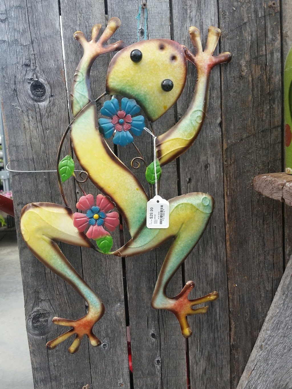 Sunset Nursery Garden Centre & Greenhouses | 2177 Greenwood Rd, Pembroke, ON K8A 6W2, Canada | Phone: (613) 638-4107