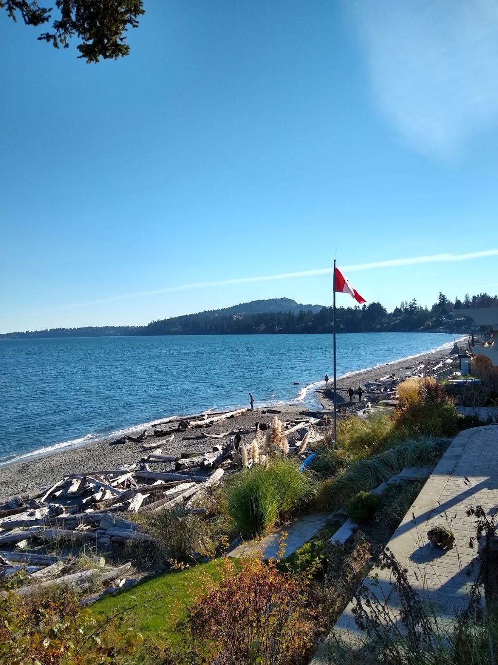 McMorran Park and Beach Access | 5115 Cordova Bay Rd, Victoria, BC V8Y 2K1, Canada