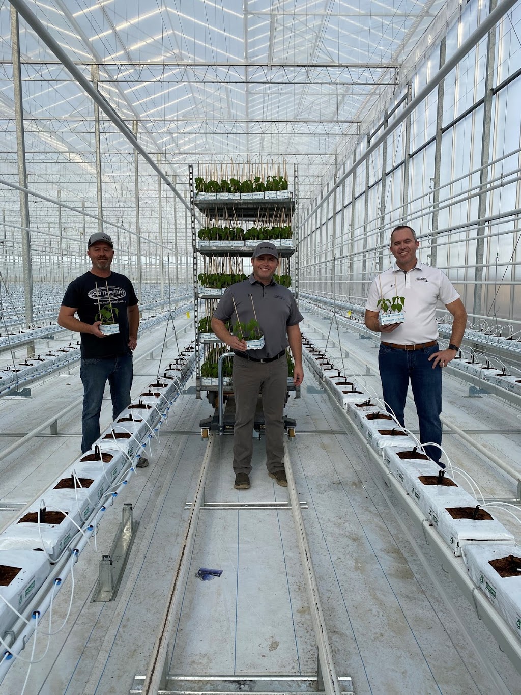 Vine Fresh Acres Ltd. | 420 Essex Road 14, Leamington, ON N8H 3V8, Canada | Phone: (519) 326-8808