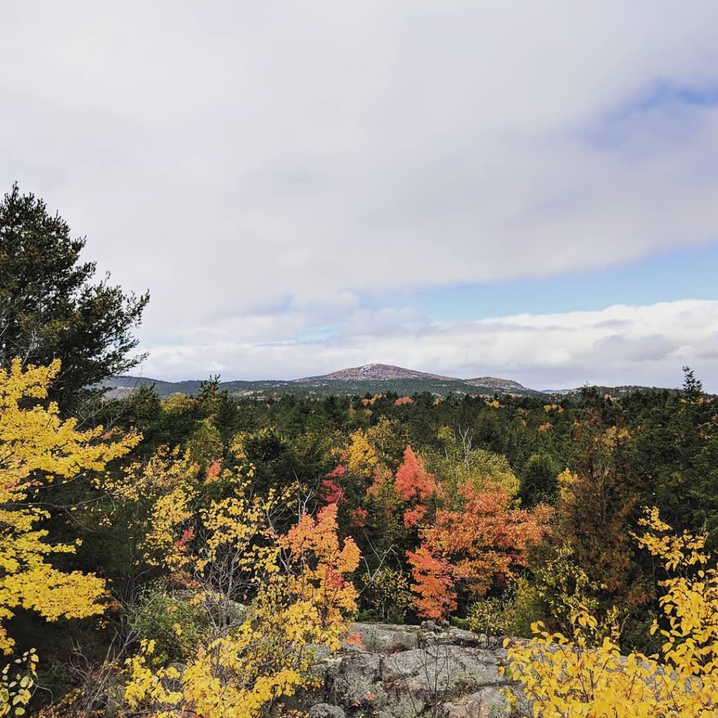 Lake of the Woods Trailhead | Bell Lake Rd, Killarney, ON P0M 2M0, Canada