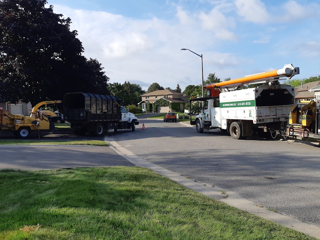 Eco Tree Care | 2375 ON-15, Kingston, ON K7L 4V3, Canada | Phone: (613) 531-8733