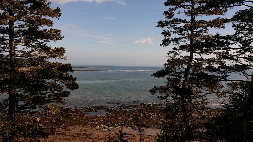 Atlantic View Trail | Atlantic View Trail, Halifax, NS B2Z 1P7, Canada