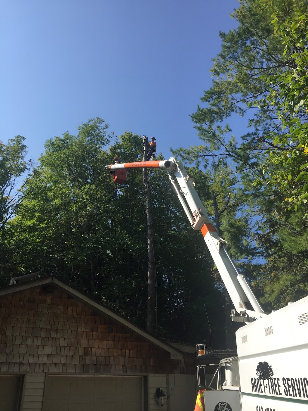 Hanet Tree Service | Frizell Rd, Perth, ON K7H 3C7, Canada | Phone: (613) 812-1736