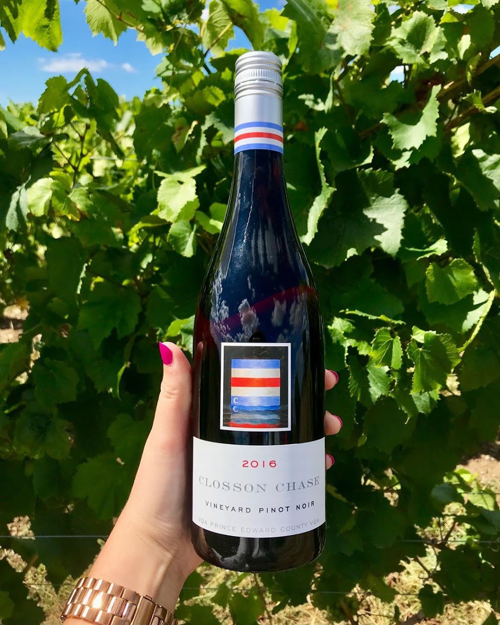 Wine Country Ontario | 4890 Victoria Ave N, Vineland Station, ON L0R 2E0, Canada | Phone: (905) 562-8070